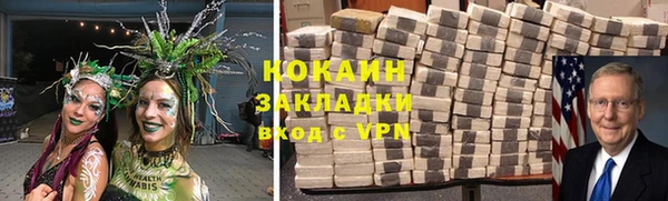 соль ск Алексин