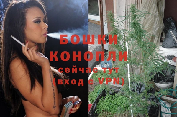 дживик Алексеевка
