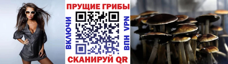 Галлюциногенные грибы Magic Shrooms  Краснослободск 